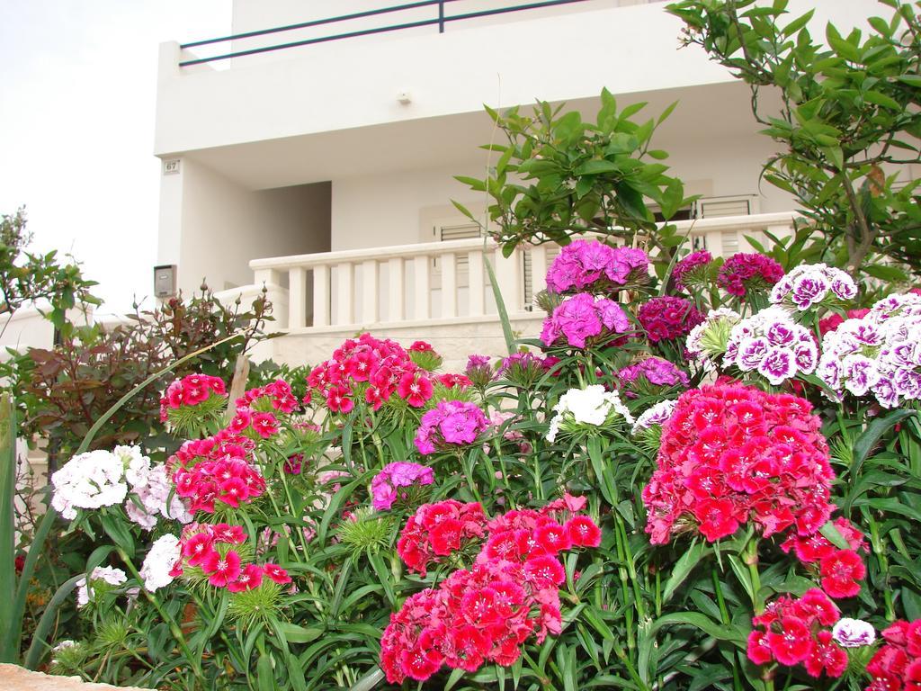 Villa Fio - Hvar Hvar Town Dış mekan fotoğraf